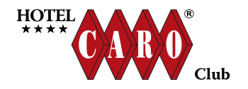 INVEST sponsor caro